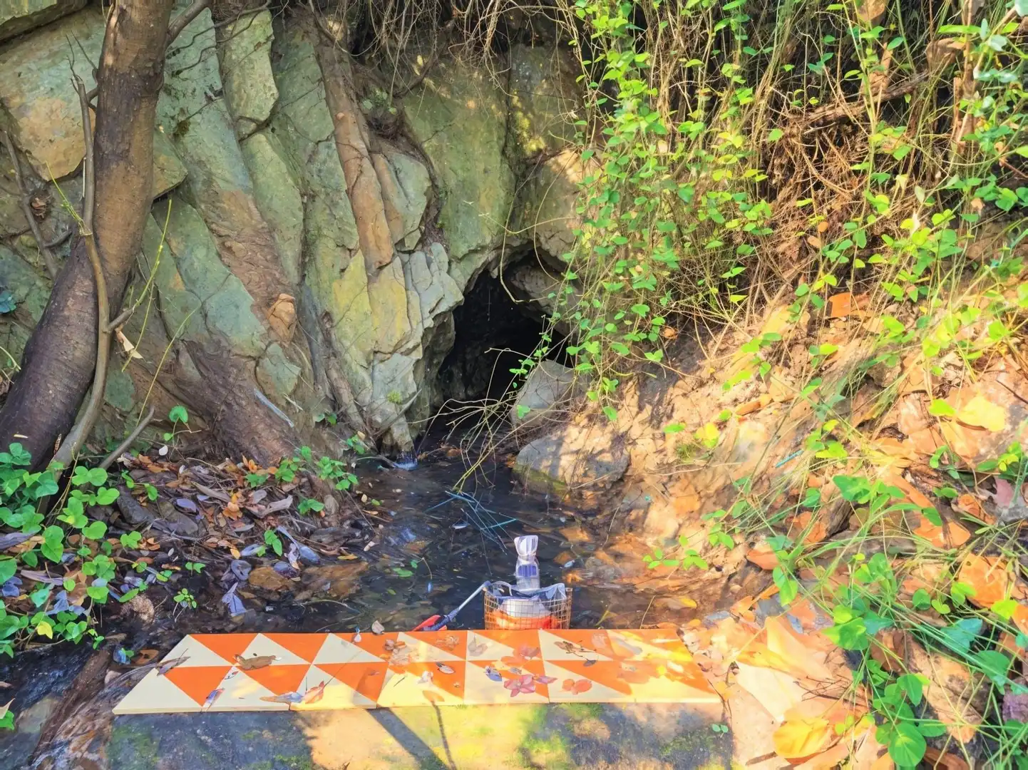 Vista exterior de Casa o xalet en venda en La Selva del Camp amb Jardí privat, Terrassa i Traster