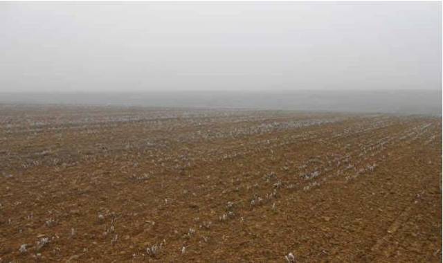 Terreno en Venta en EL BEBEDERO Y LAS QUINTANAS en Vega de Ruiponce