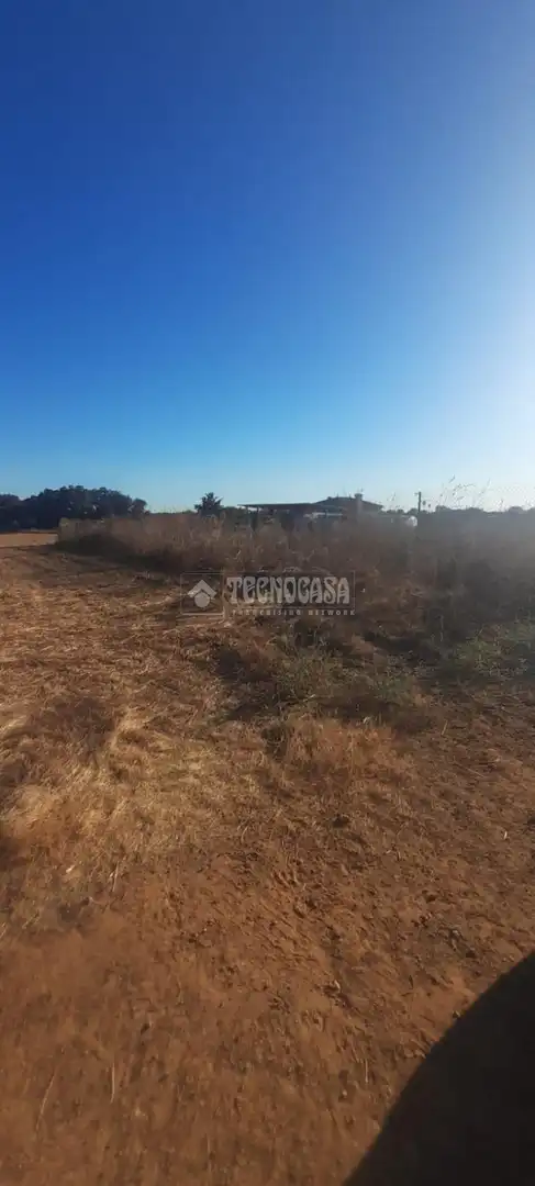 Finca rústica en venta en Aznalcázar