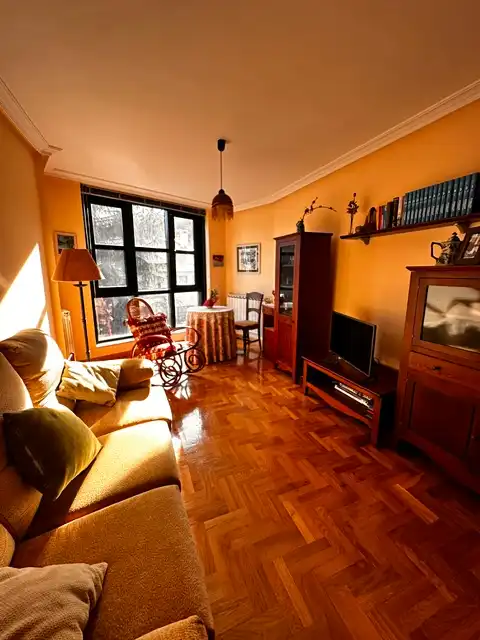 Sala d'estar de Pis en venda en Pravia amb Calefacció, Parquet i Traster