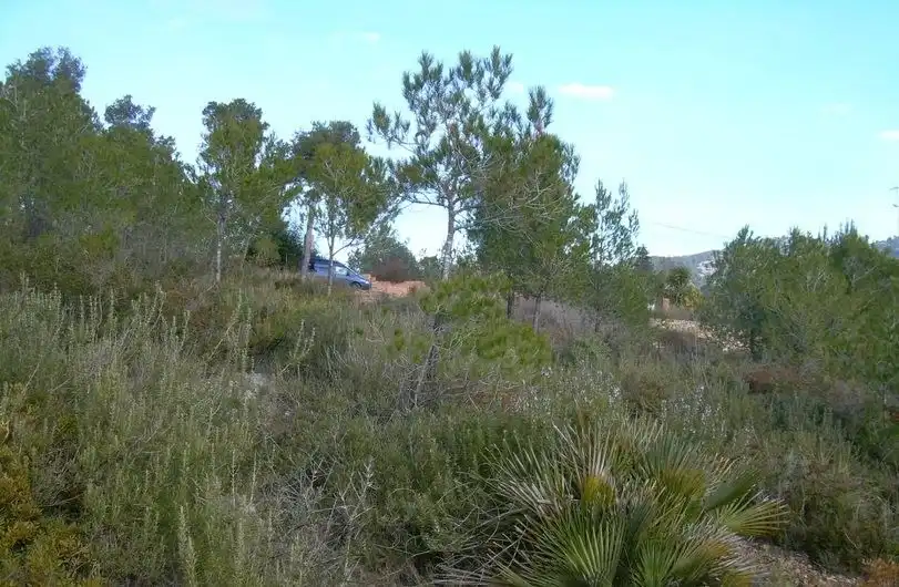 Terreny residencial en venda a Avinyonet del Penedès, imagen 10