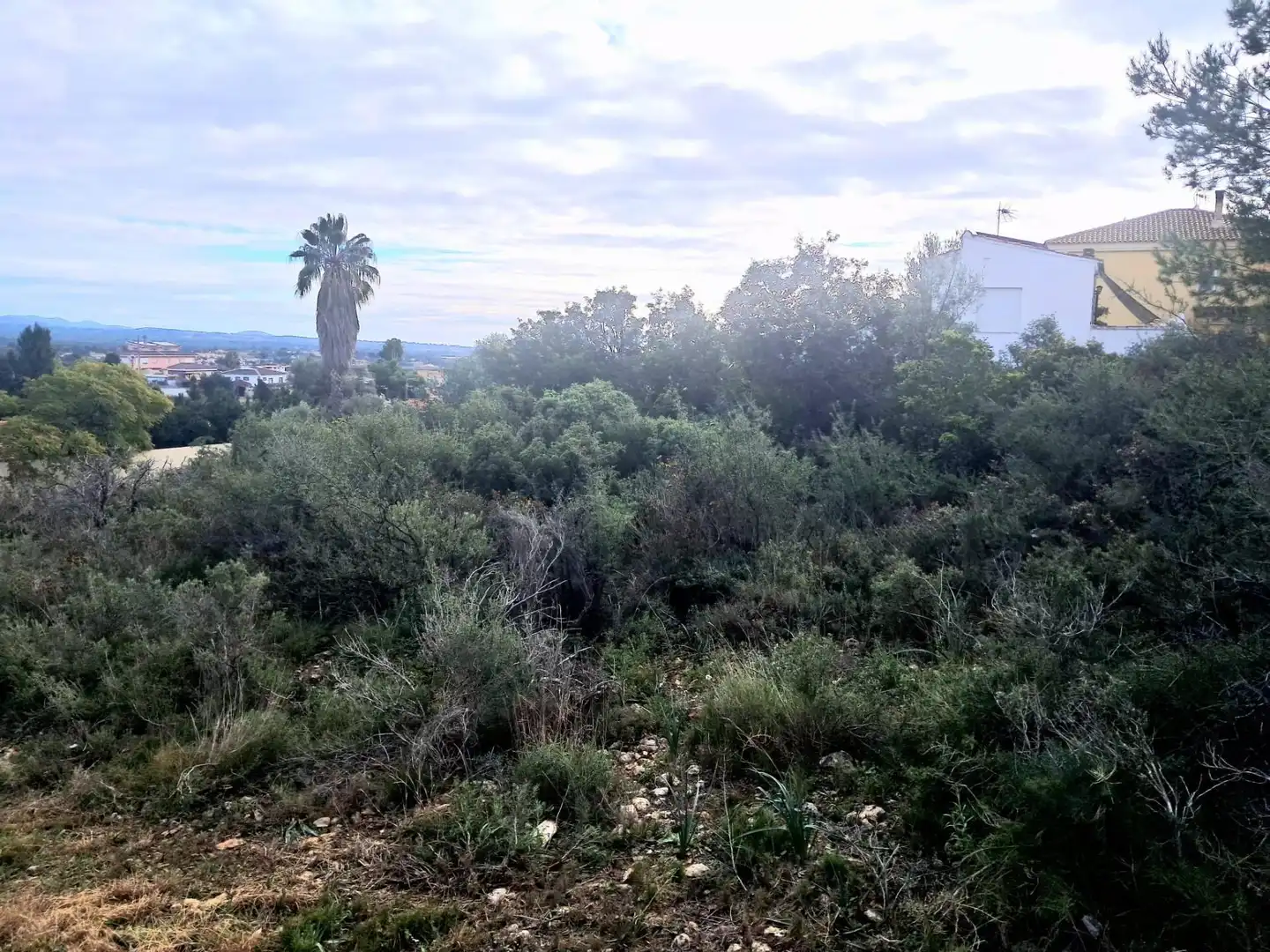 Terrenos y solares en venta en Calle El Pedregal, imagen 13