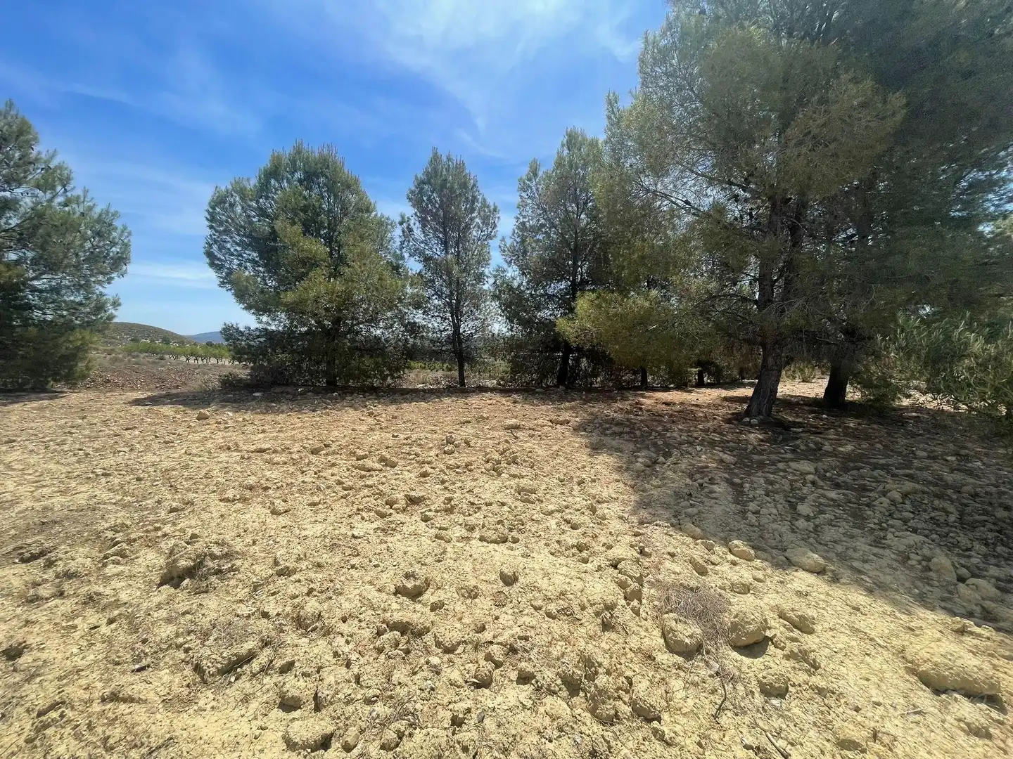 Maison avec jardin à vendre à Cehegín, imagen 6