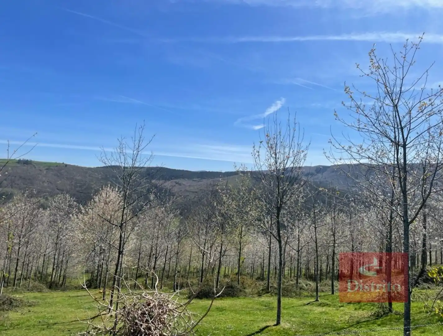 Terreni e lotti in vendita a Valdáliga - barrio la herrería, imagen 12