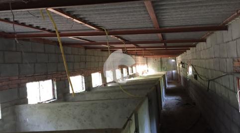 Photo 4 of Industrial buildings for sale in Entrimo, Ourense