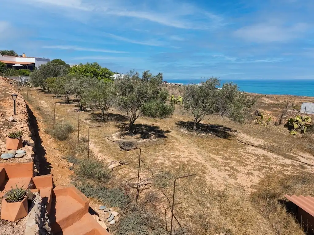 Casa o xalet en venda en La Oliva amb Jardí privat, Terrassa i Moblat