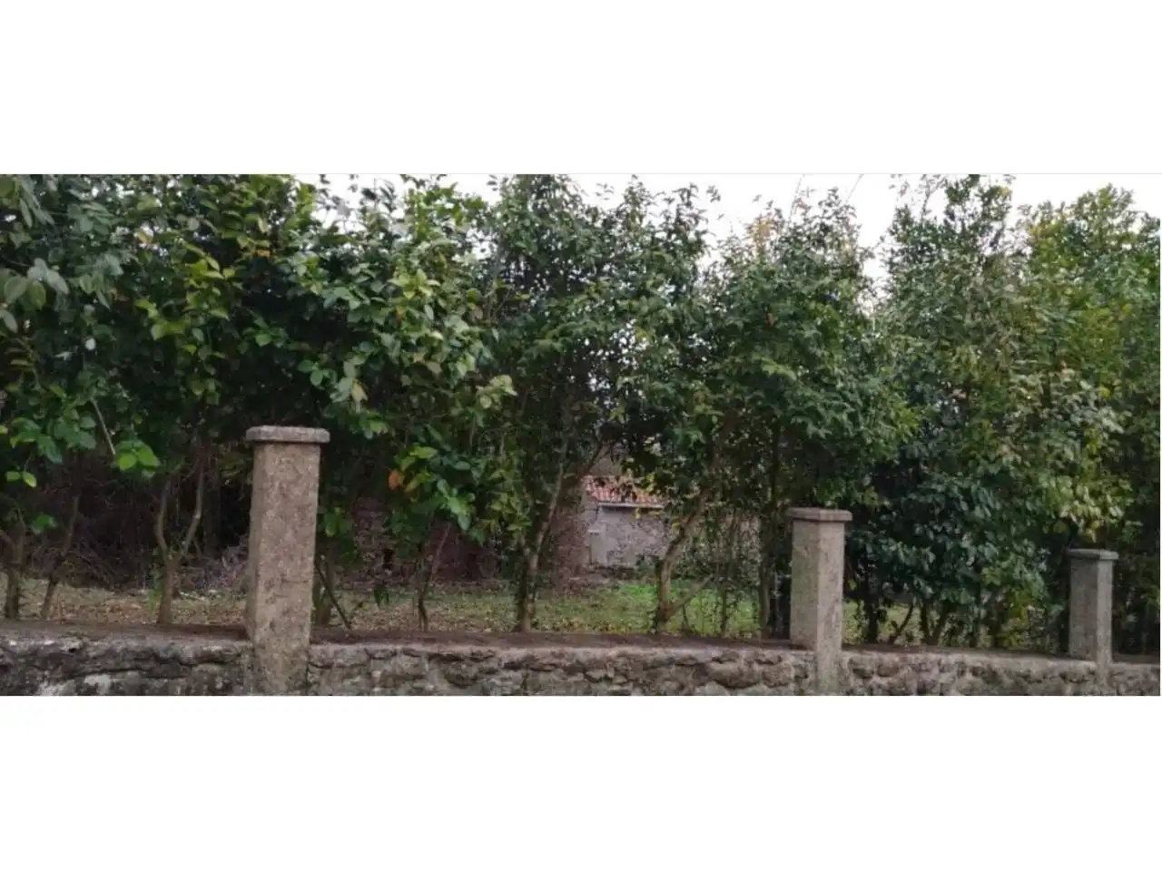 Terreny rústic en venda a Calle Lugar Barrabaite - Lamela 18, imagen 4