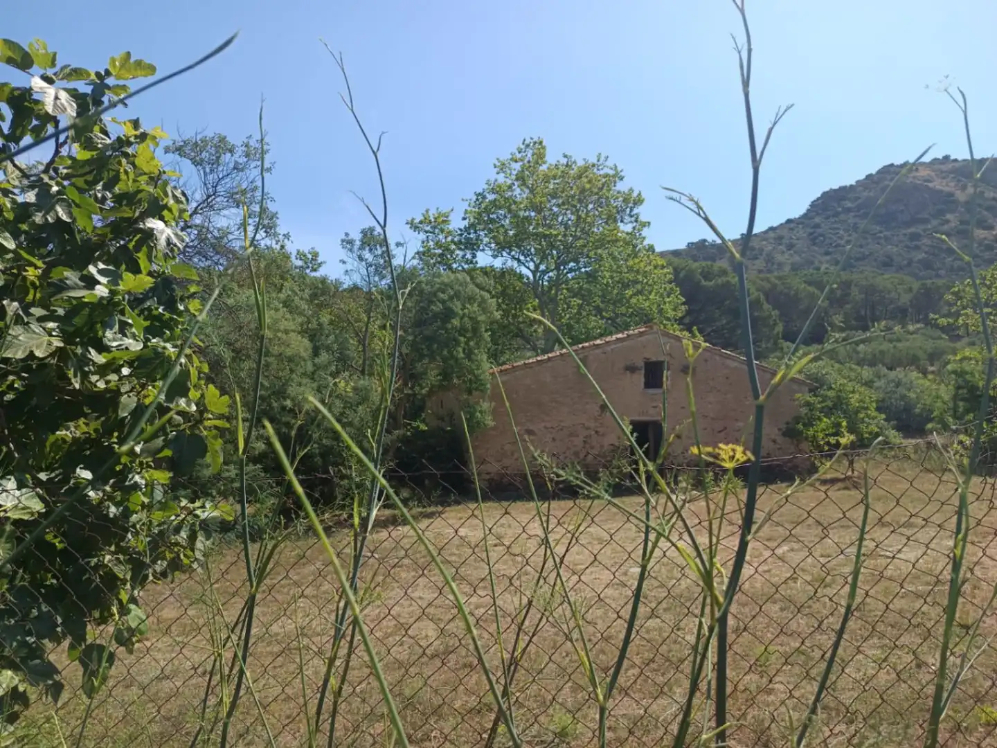 Jardín de Finca rústica en venta en Vilajuïga con Terraza, Trastero y Balcón