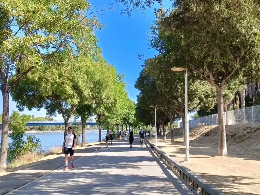 Vista exterior de Piso en venta en  Sevilla Capital con Aire acondicionado, Terraza y Balcón
