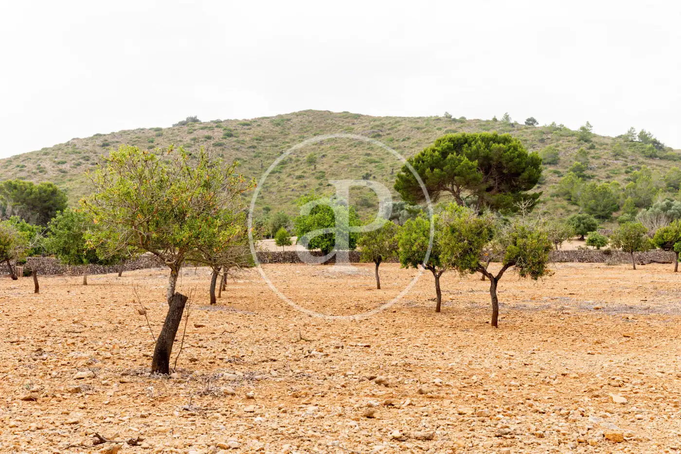 Residencial en venta en Manacor