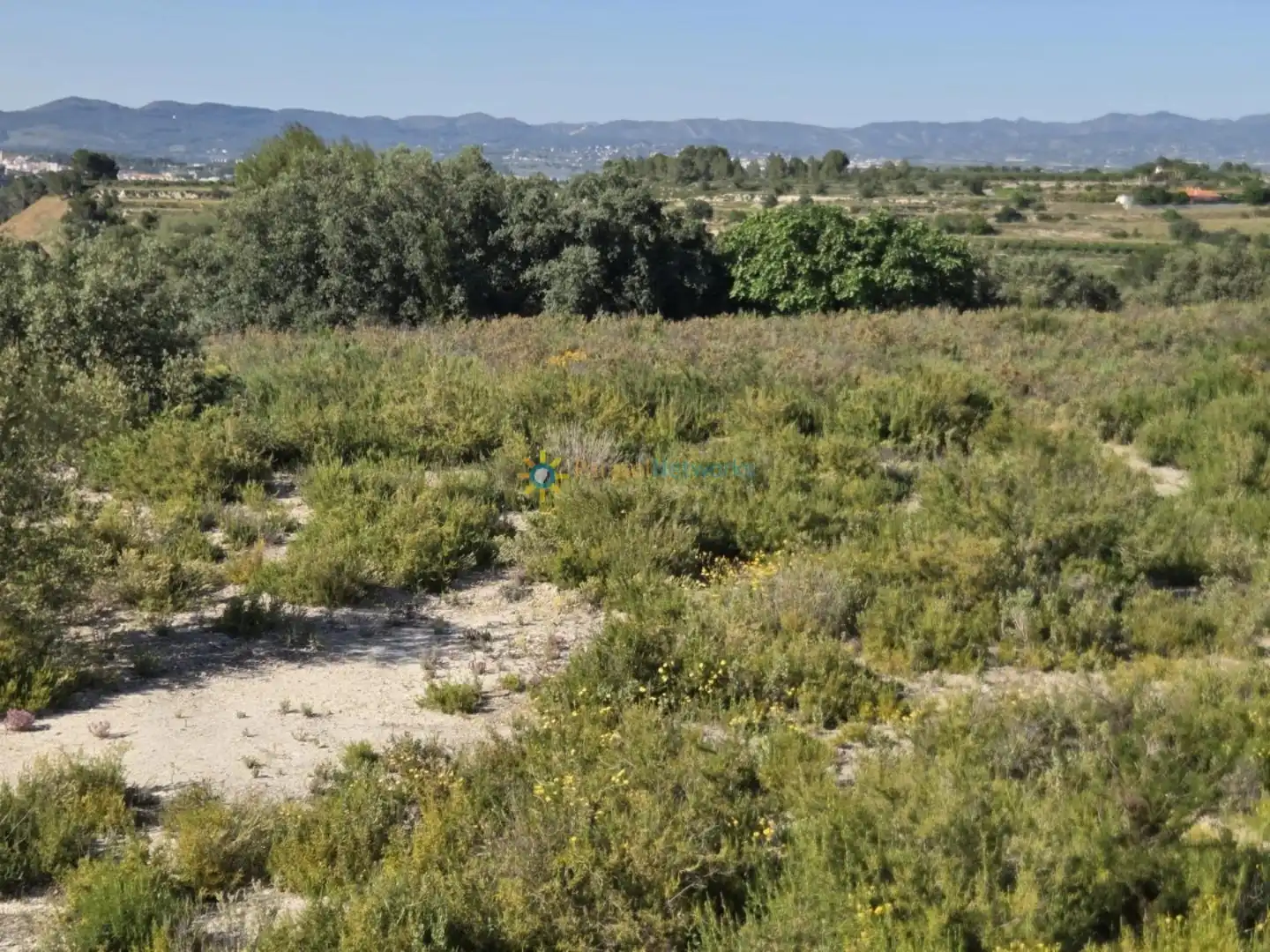 Rustikales Grundstück zum Verkauf in El Palomar