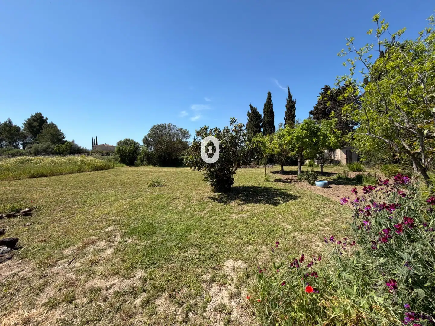 Finca rústica en venta en Binissalem