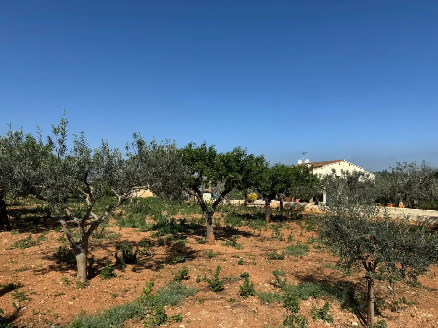 Maison rustique avec piscine à vendre à Benissa pueblo, imagen 53