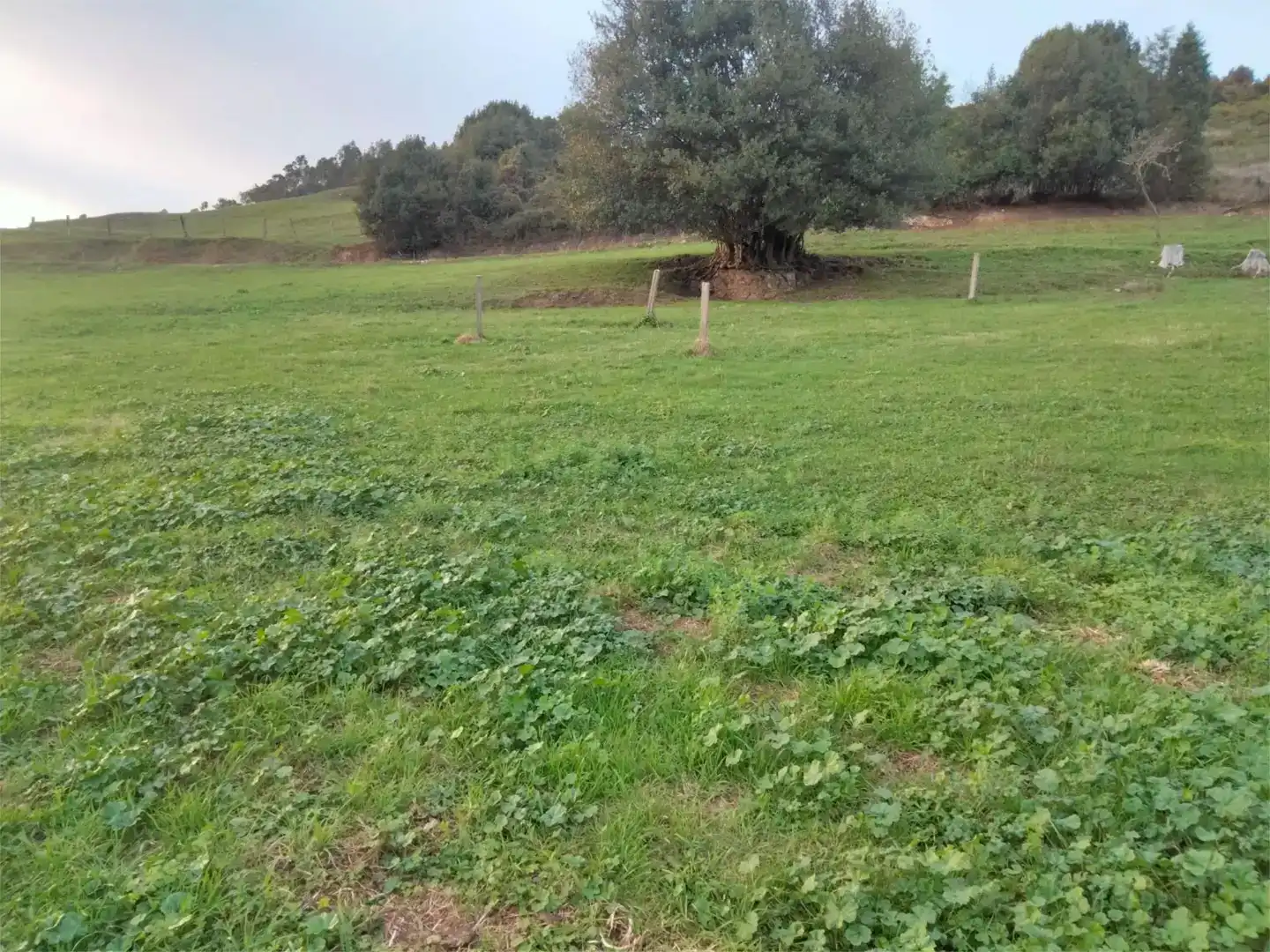 Casa o chalet en venta en Llanera