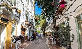 Photo 5 of Building for sale in Ricardo Soriano, Málaga