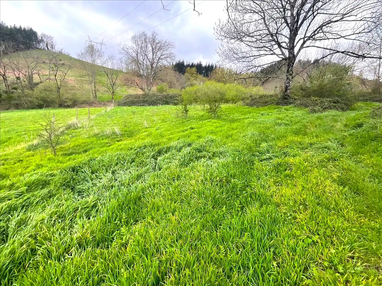 Residencial en venta en DISEMINADO - CASERIO ZELAUNDI, Albiztur