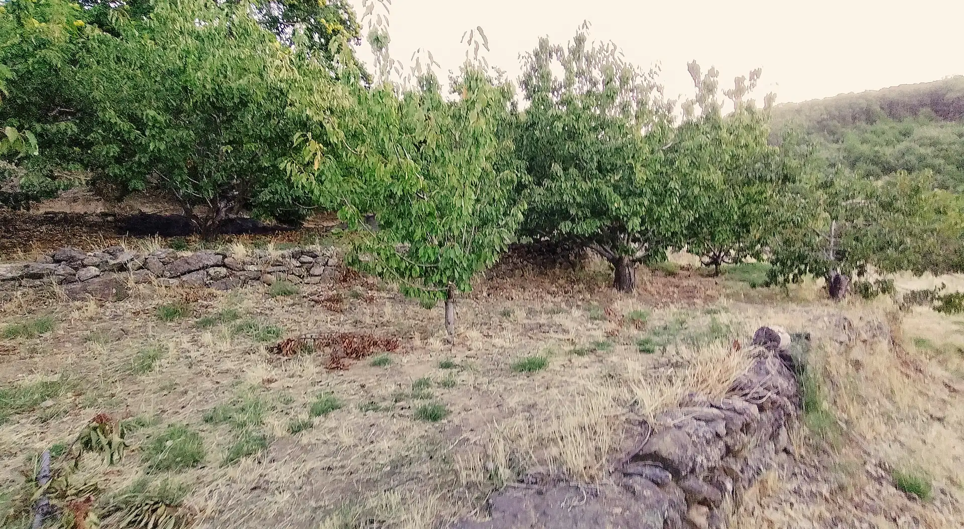 Terrain rustique à vendre à Avenida Extremadura 72, imagen 18