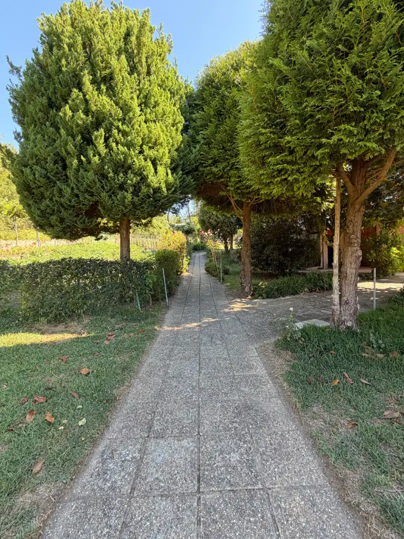 Villa con terrazza in vendita a Esgos, imagen 4