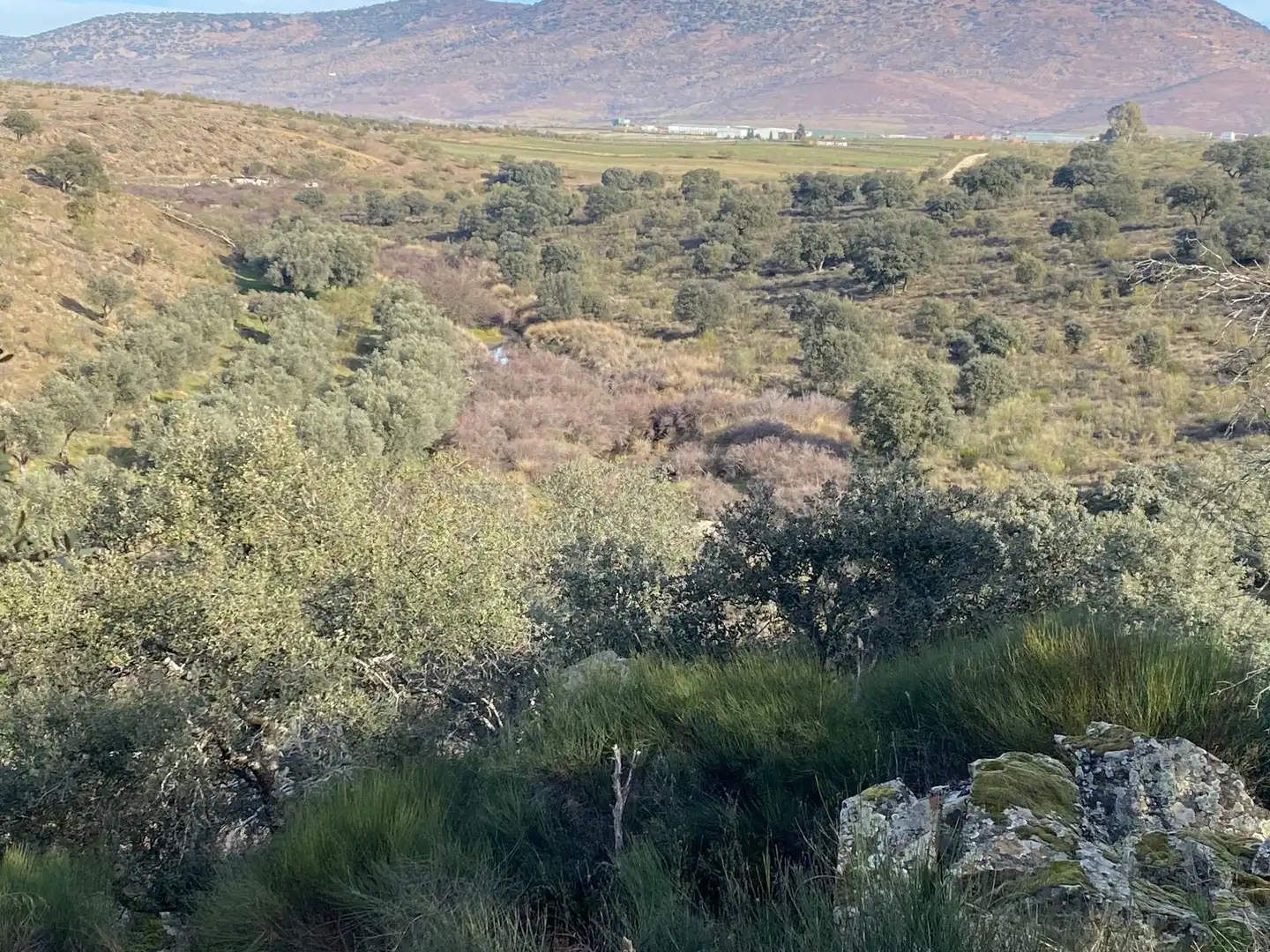 Grundstücke zum Verkauf in La Estrella