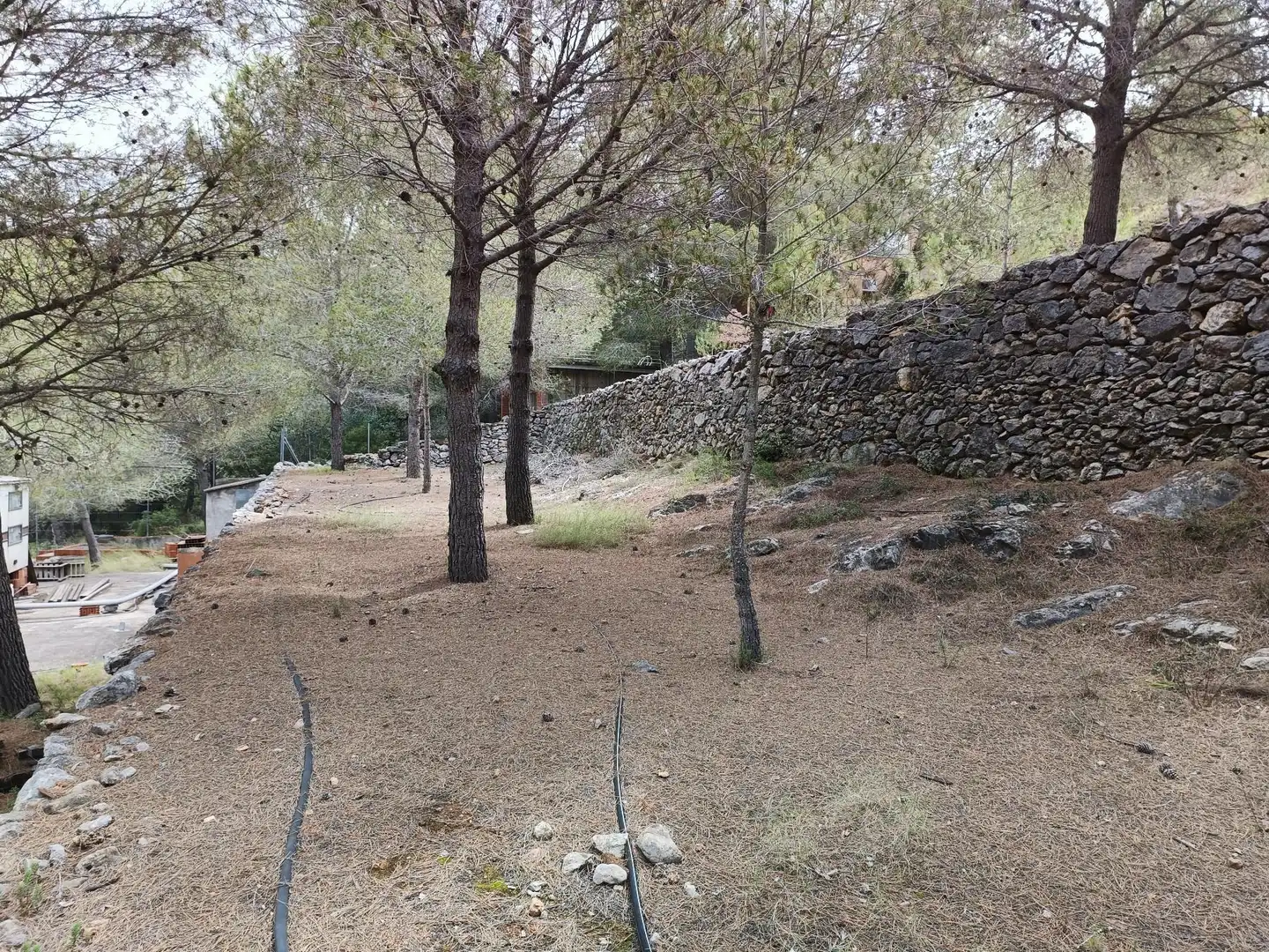 Lands and plots for sale in Borriol, imagen 14