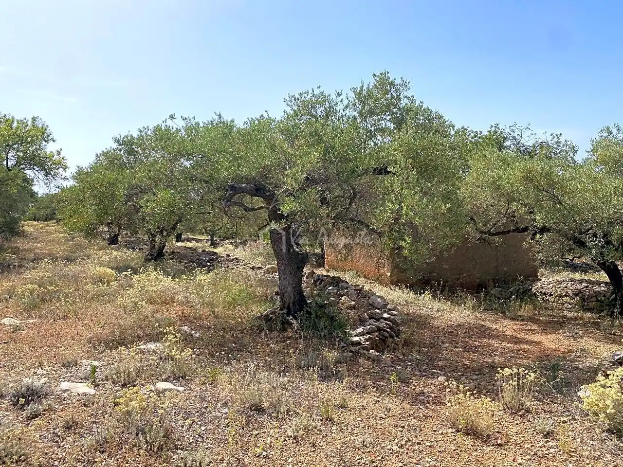 Terreno rustico in vendita a Partida Comartins, imagen 12