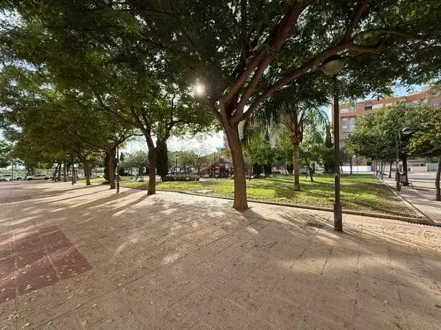 Apartments for rent in Murcia, Murcia