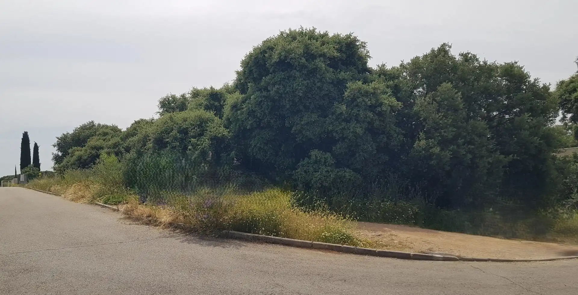 Terreno residencial en venta en Pioz, imagen 5