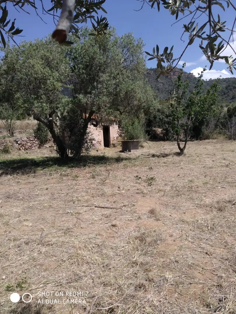 Terreno rústico en venta en Coll d'En Peiró, imagen 2
