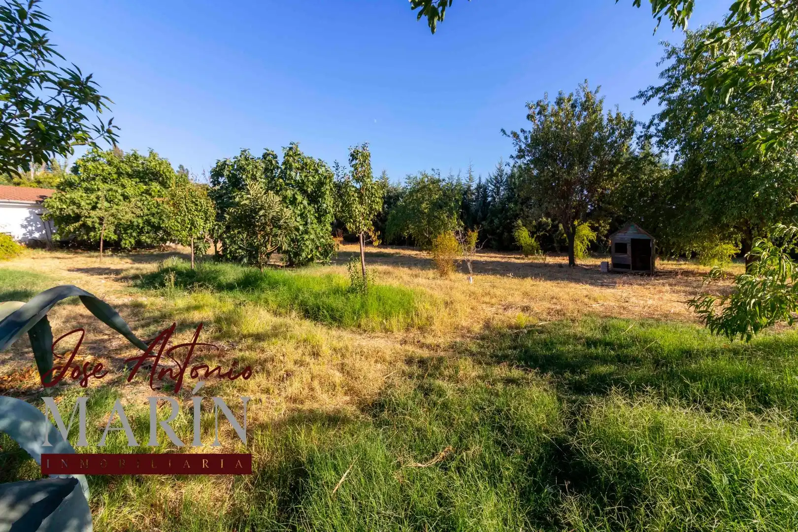 Country house with pool for sale in Dehesilla de Calamón - Campomanes, imagen 13