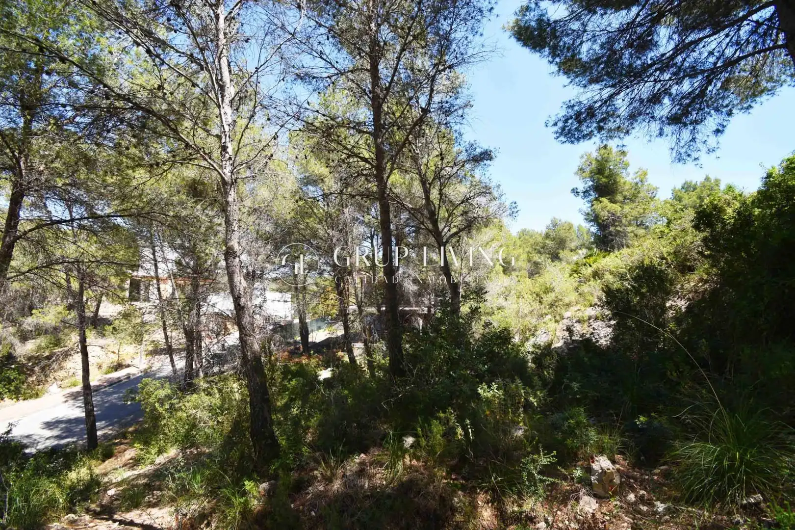 Residential land for sale in Mas Alba, imagen 8