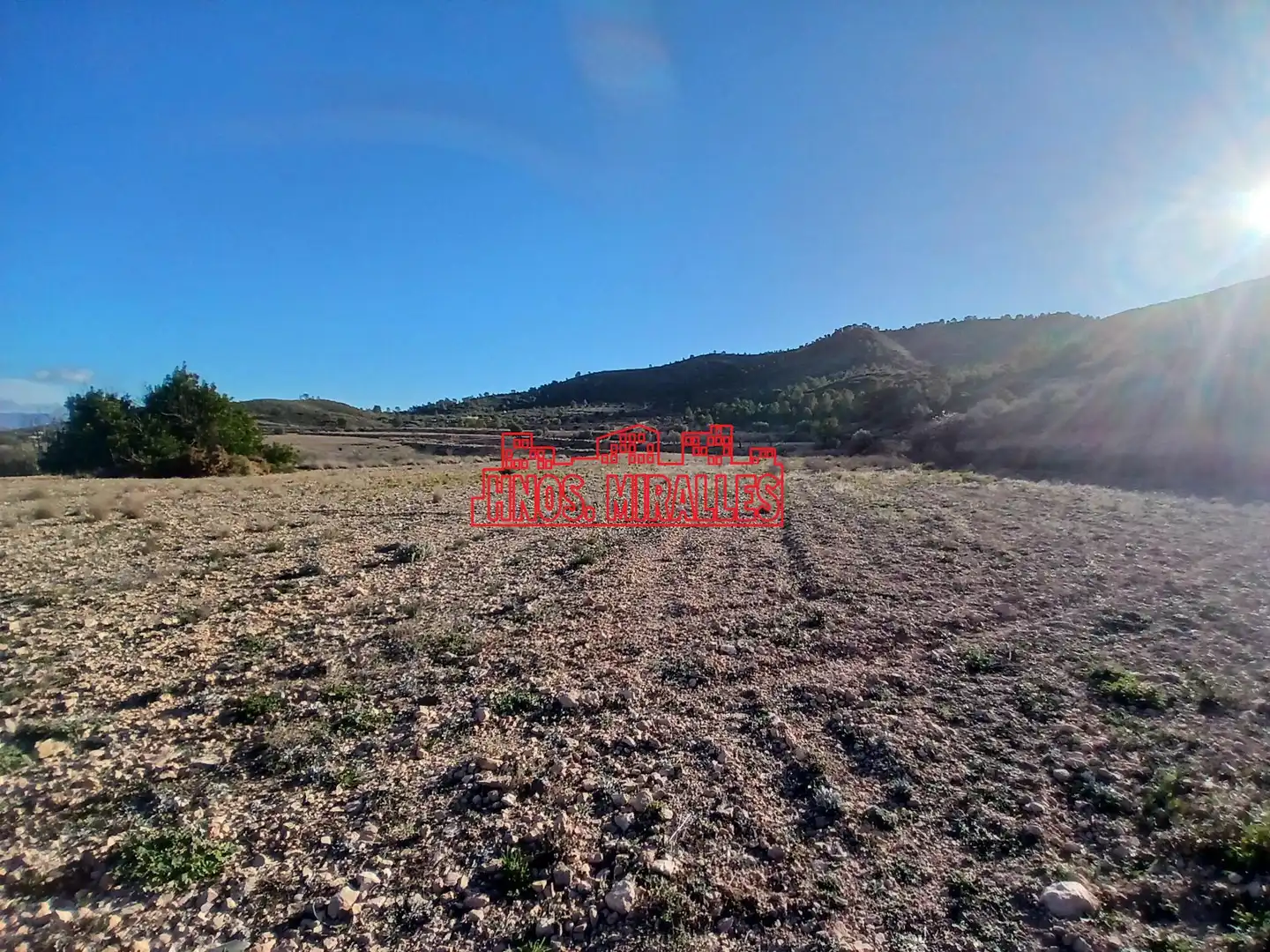 Terreno residenziale in vendita a Hondón de los Frailes, imagen 5