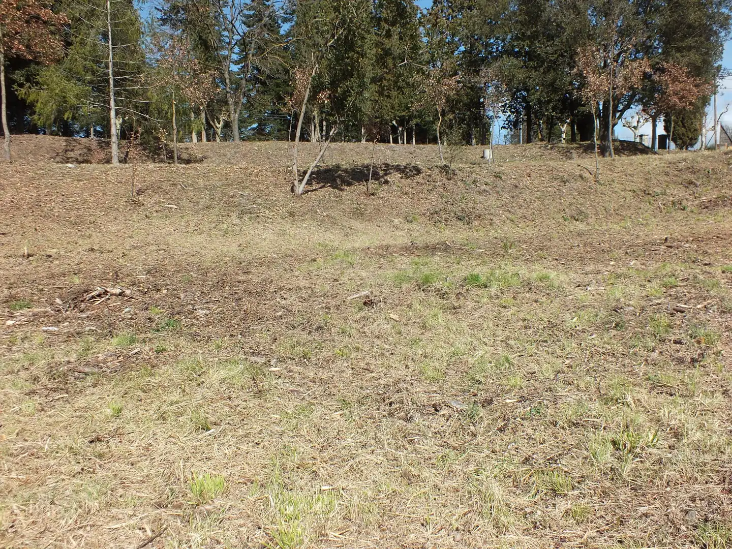 Terreny residencial en venda a Viladrau, imagen 7