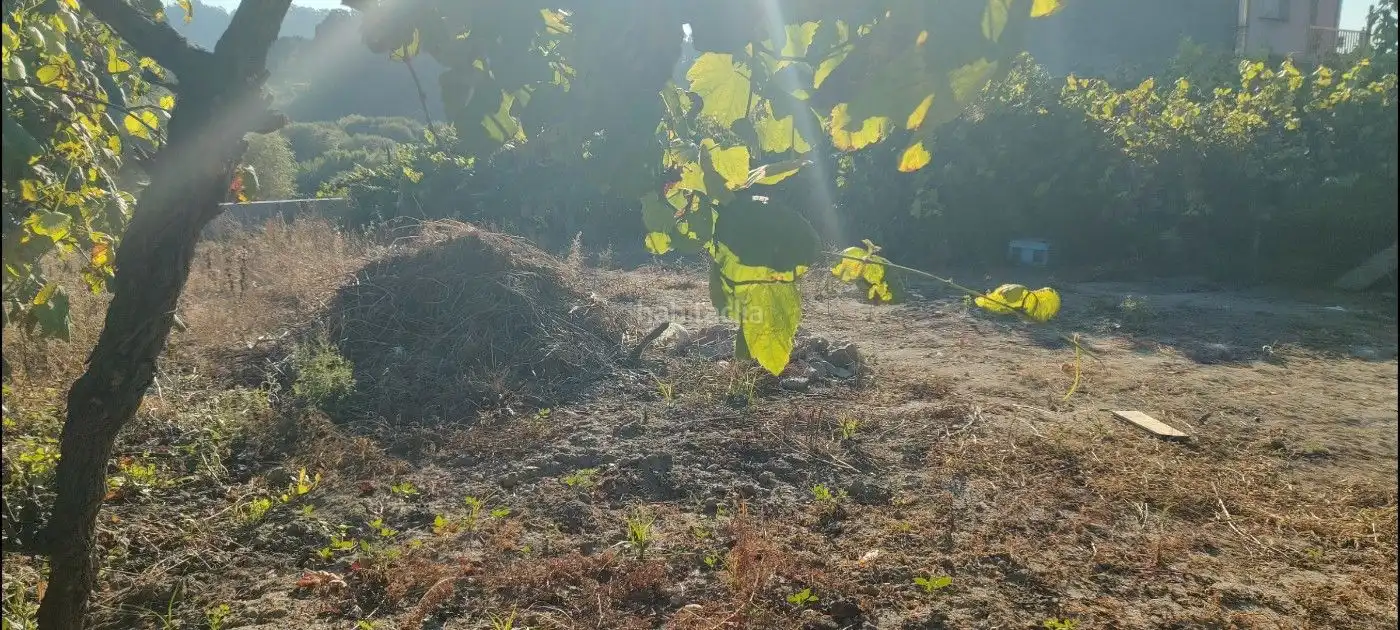 Terreno rustico in vendita a Poblado Carregal 9, imagen 21