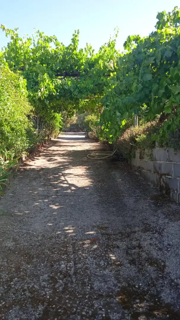 Exterior view of Land for sale in Jarandilla de la Vera