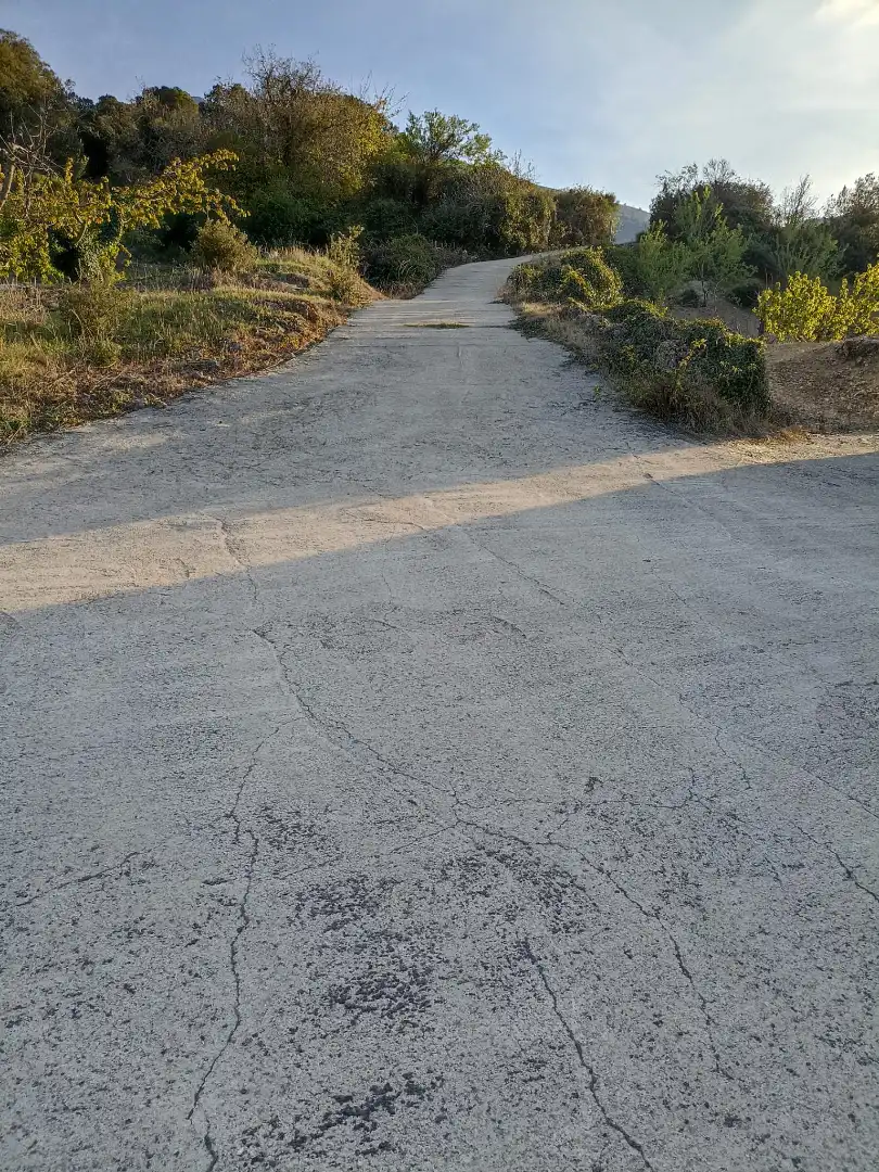 Exterior view of Land for sale in Torres