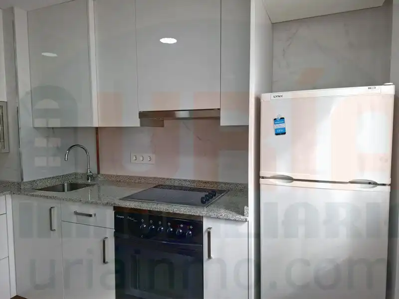 Cocina de Piso de alquiler en Oviedo  con Calefacción, Amueblado y Lavadora
