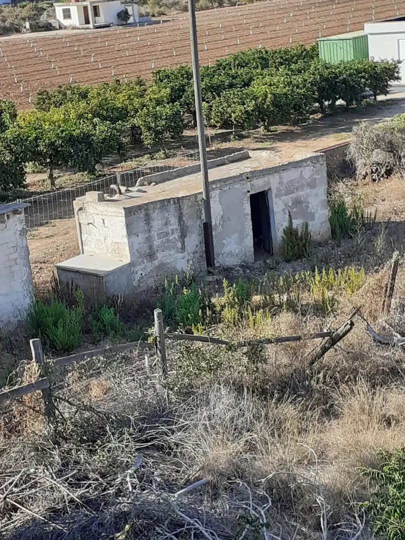 Terreny rústic en venda a Boverals - Saldonar, imagen 12