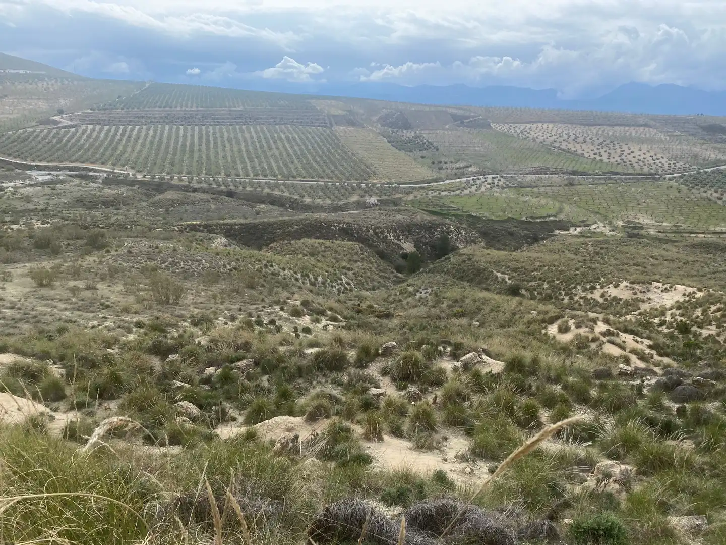 Rural land for sale in Calle Infanta Paz, imagen 2