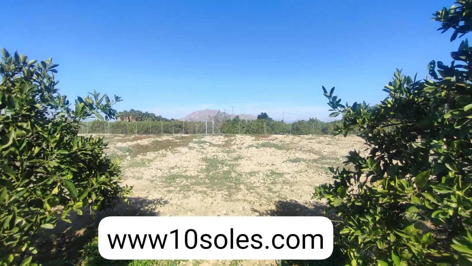 Terreno rustico in vendita a Jacarilla, imagen 2