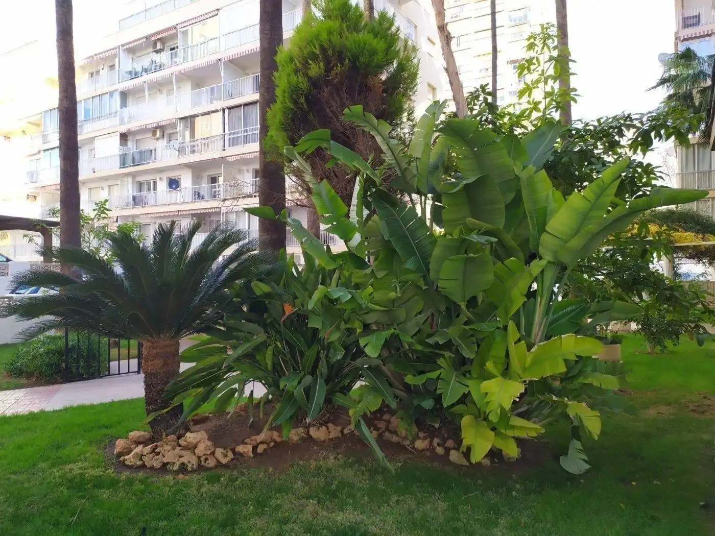 Wohnung mit Garten zum Verkauf in Avenida MADRID, imagen 38