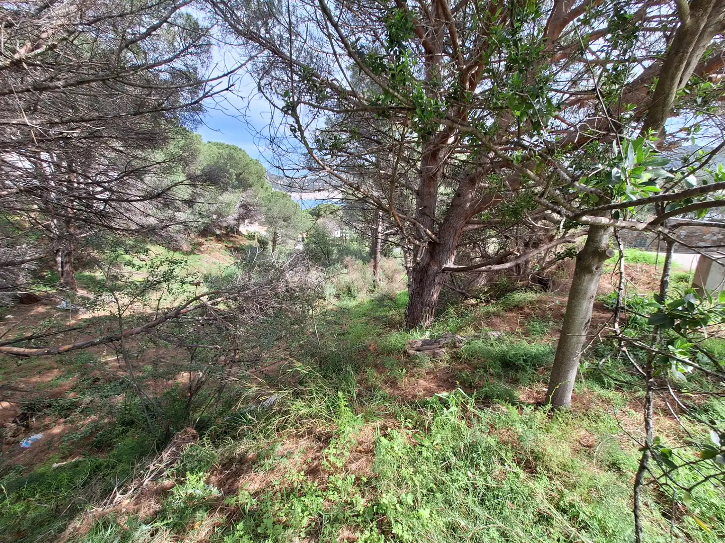 Residential land for sale in Carrer la Mina Vella, imagen 7