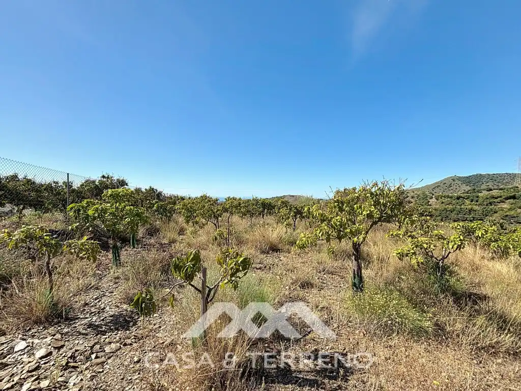 Casa o xalet en venda en Vélez-Málaga amb Aire condicionat, Jardí privat i Terrassa