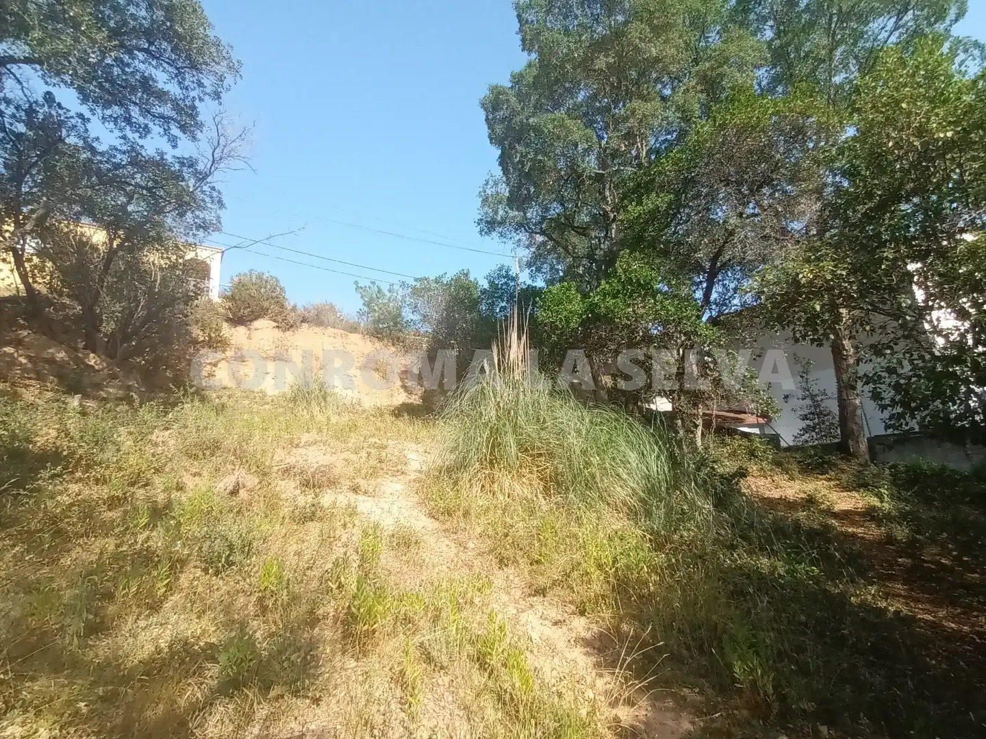 Residential land for sale in Montbarbat, imagen 2
