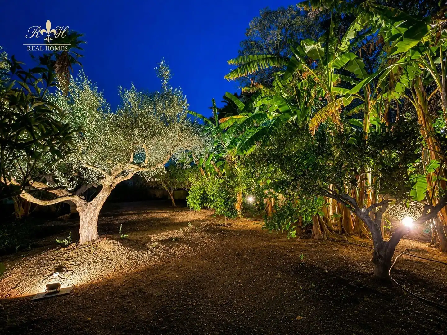 Casa o xalet de lloguer a DE RONDA, Pueblo - Urbanizaciones