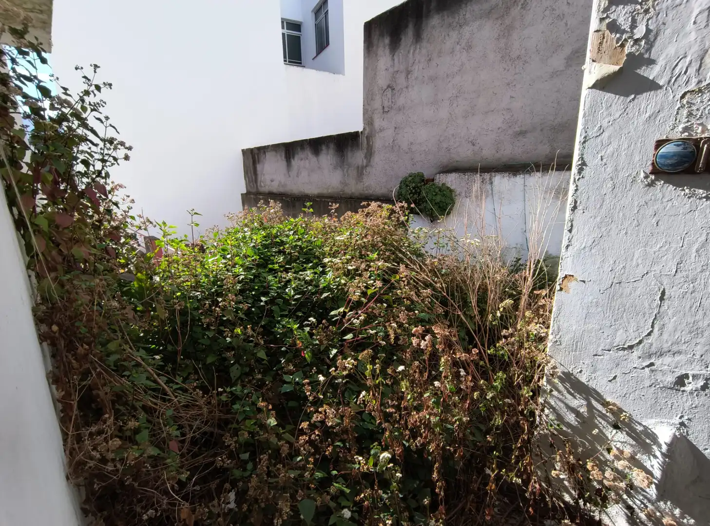 Jardín de Casa o chalet en venta en Los Realejos con Jardín privado, Terraza y Amueblado