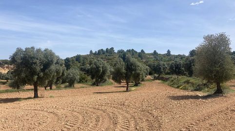 Finca rústica con maset en Calaceite, immagine 4