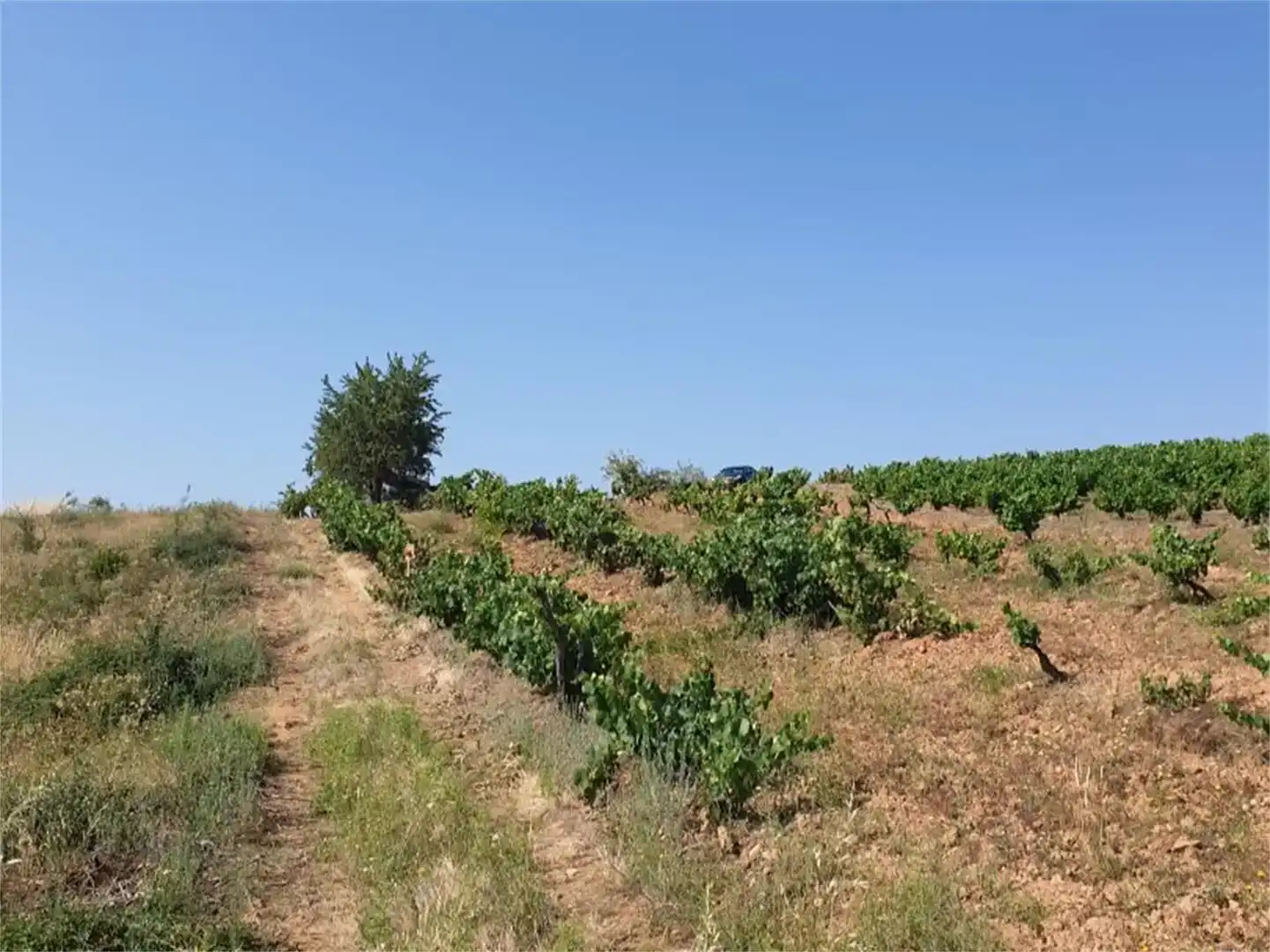 Planta baja en venta en Cacabelos con Amueblado
