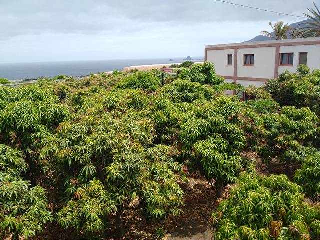 Edificio en Venta en Calle Belgara en Frontera