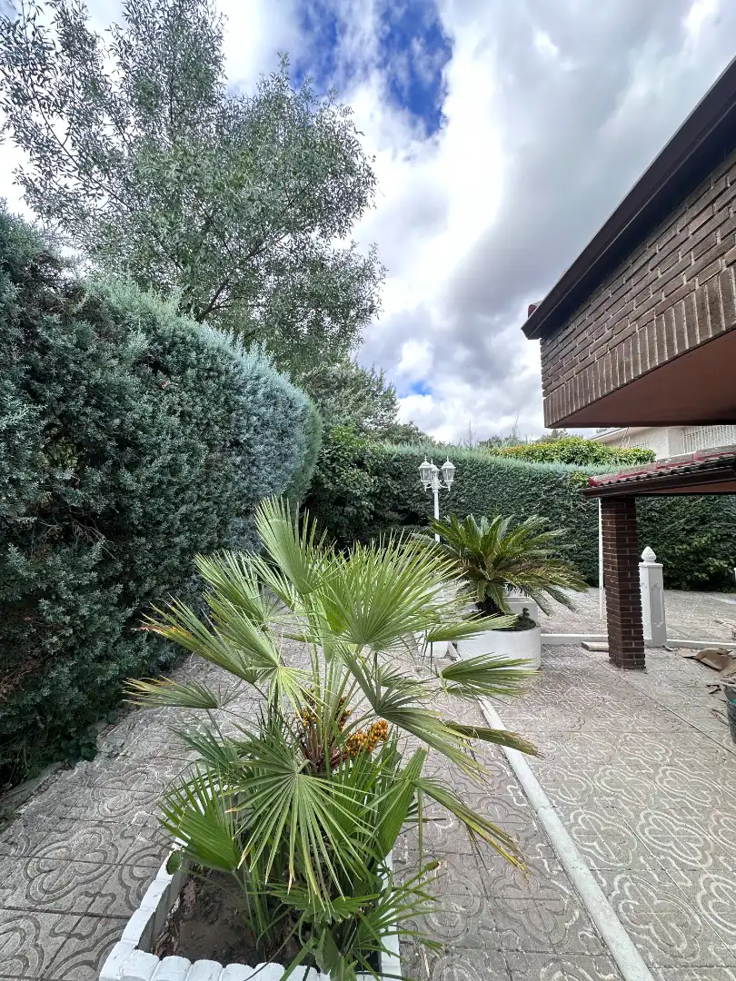 Jardí de Casa o xalet en venda en Las Rozas de Madrid amb Aire condicionat, Calefacció i Jardí privat