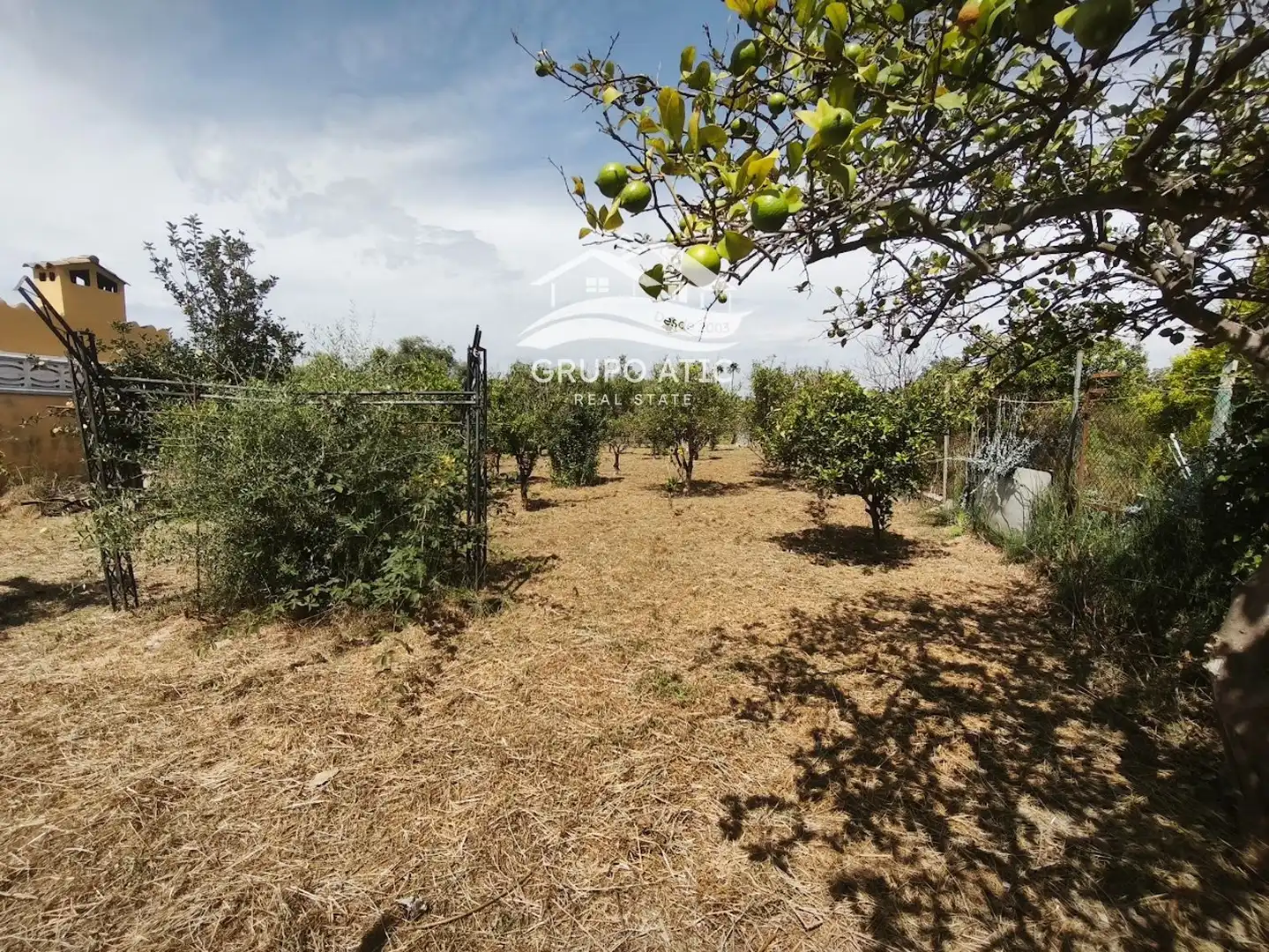 Casa o chalet en venta en Burriana / Borriana con Aire acondicionado, Calefacción y Jardín privado